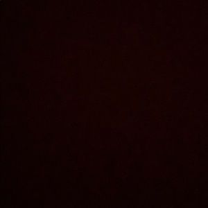 Meet your Posher, Bella